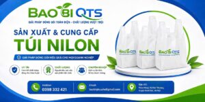 Bao Bì QTS