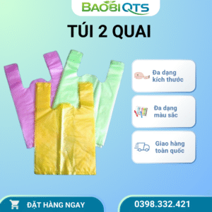 Túi Hai Quai